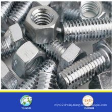 China Supplier of High Strength Steel Bolt